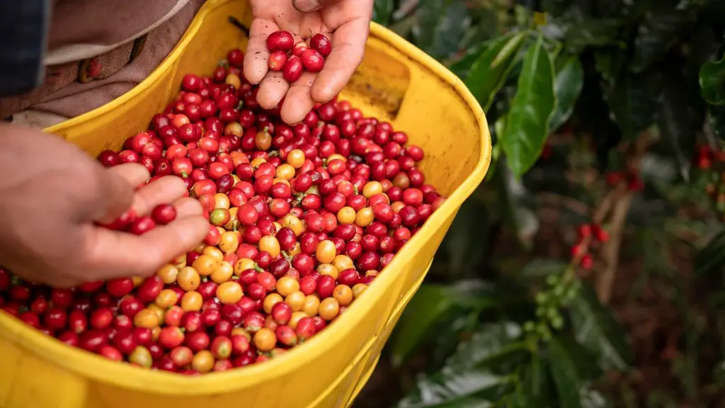 How does agriculture impact biodiversity?