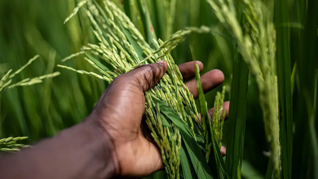 How Has Science Improved Agriculture