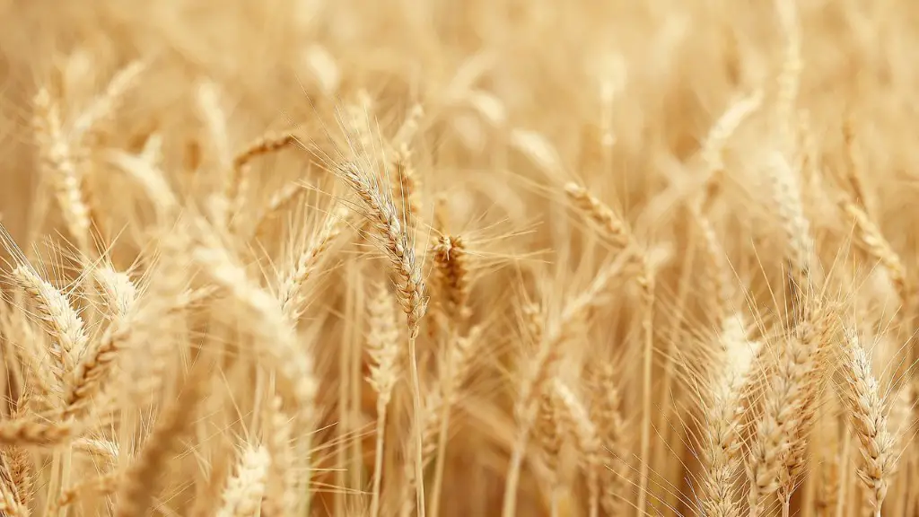 What types of agriculture?
