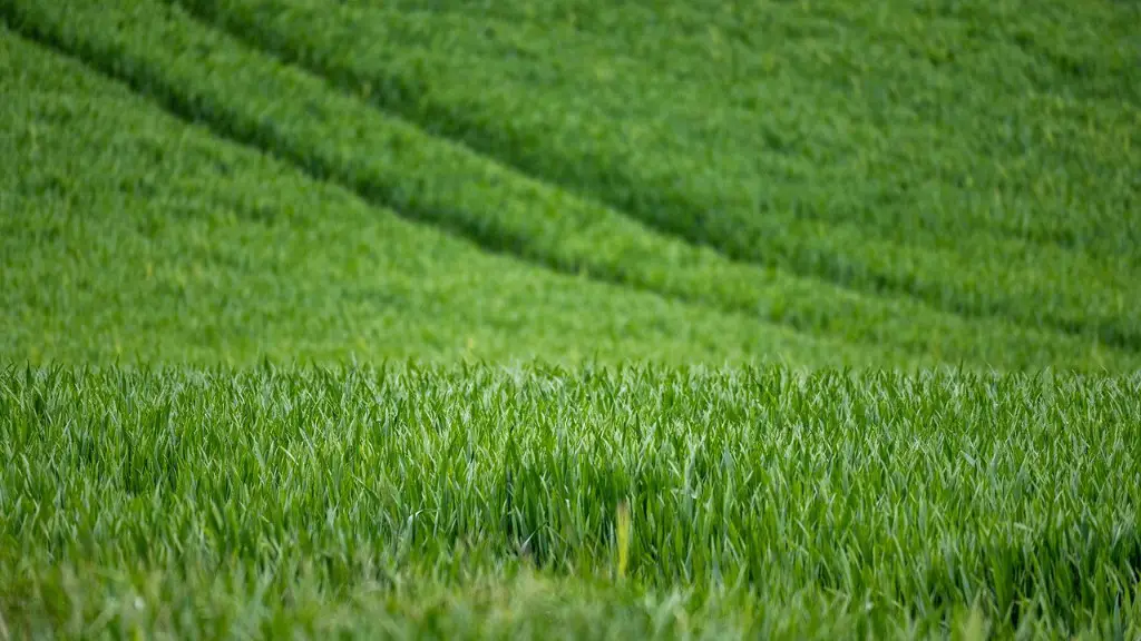 Why did the original inhabitants of australia not develop agriculture?