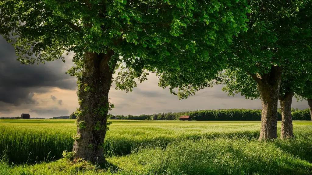 What is storage in agriculture?
