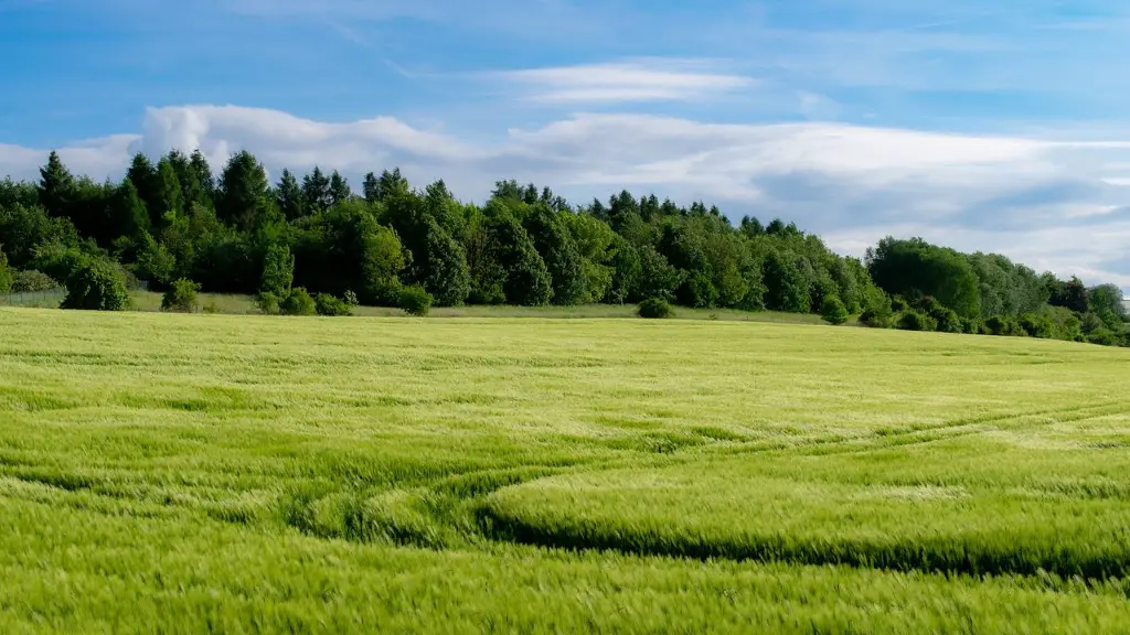 How does carbon dioxide affect agriculture?