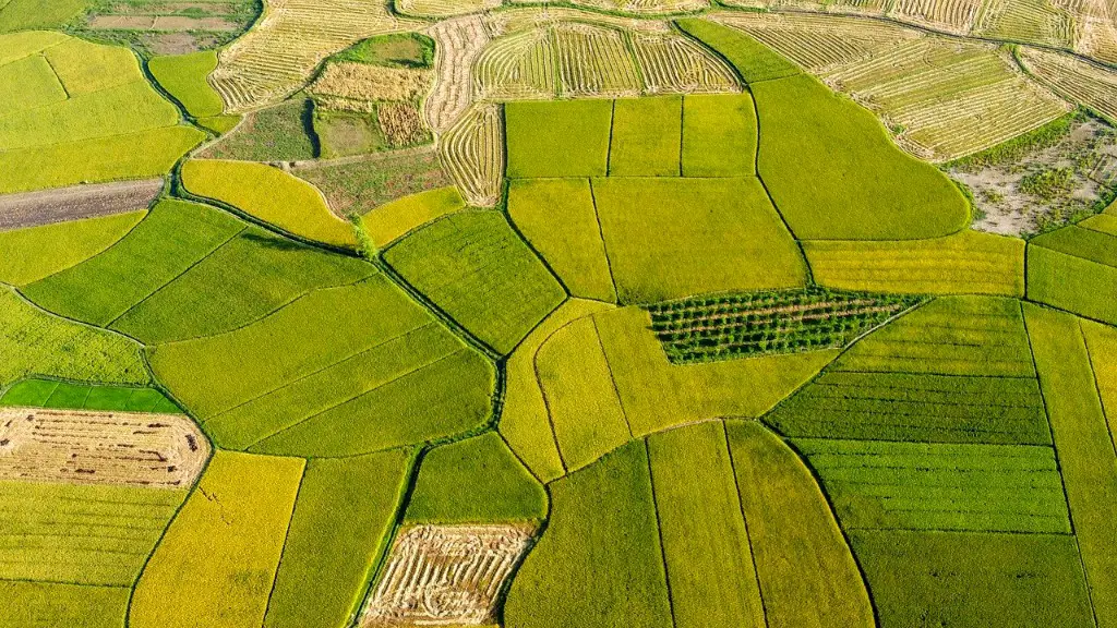 When Was Agriculture Introduced