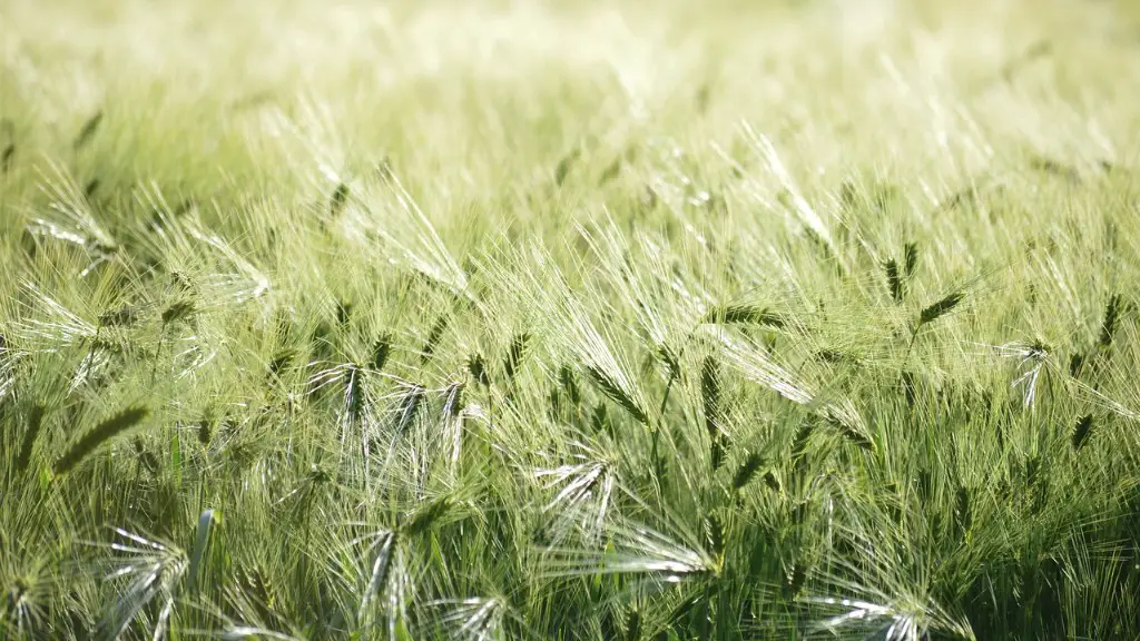 How much water does agriculture use in australia?