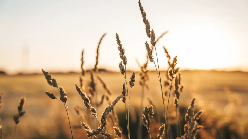 How much land in the u.s. is used for agriculture?