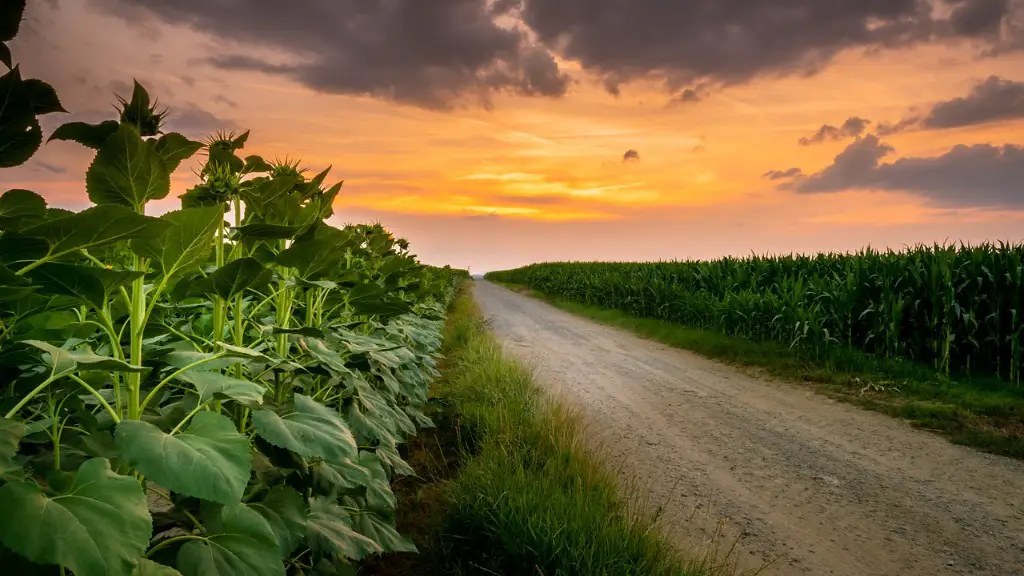 What are the effects of climate change on agriculture?