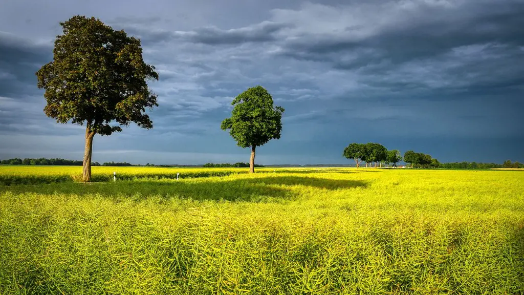 How does agriculture and farming cause global warming?