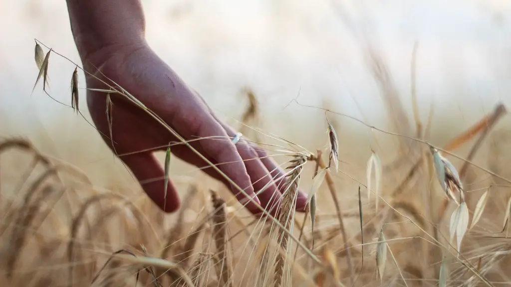 What is the agriculture of pennsylvania?