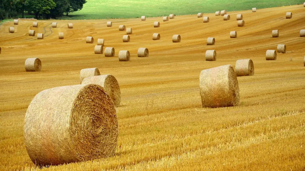 What is intensive commercial agriculture?