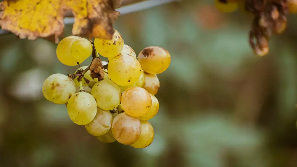 Why is agriculture important to florida?