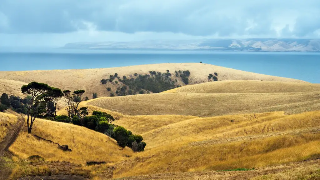 Can an art student study agriculture?