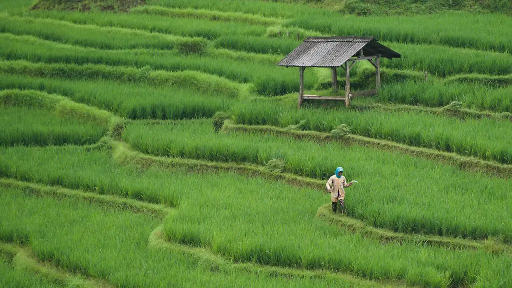 What is considered agriculture?