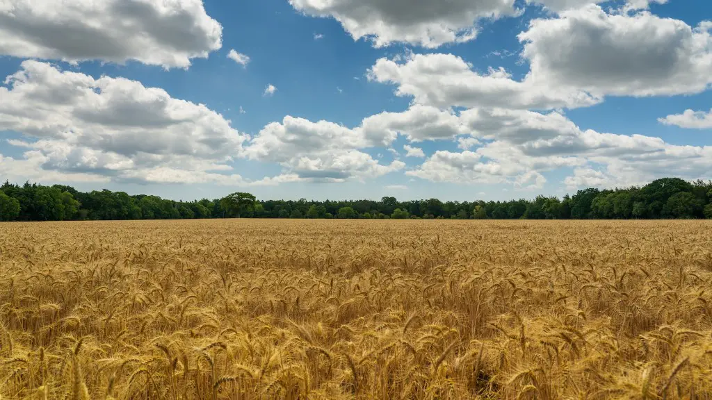 How big is agriculture in the us?