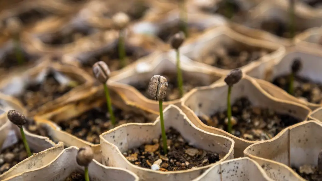 What is packaging in agriculture?
