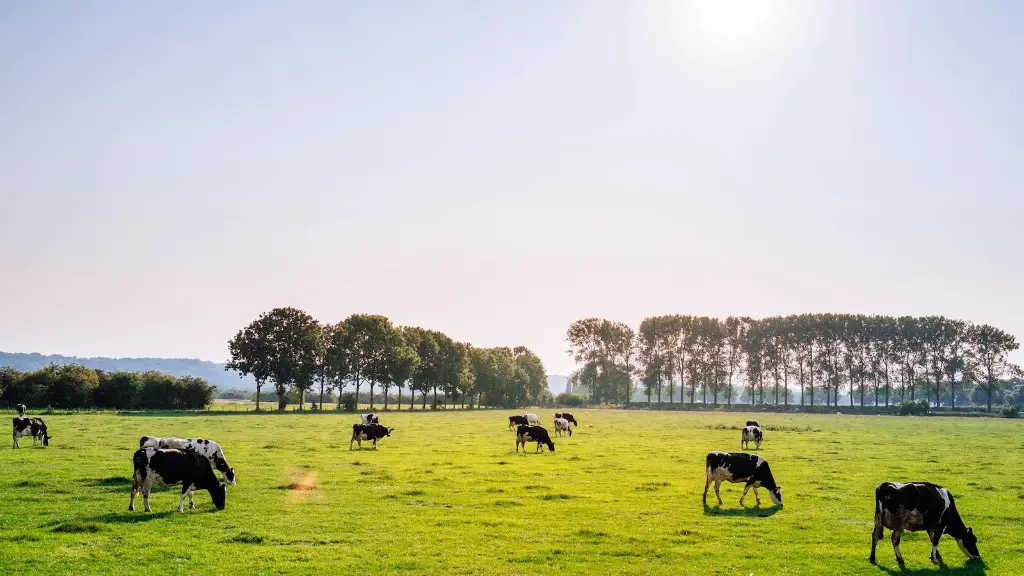 How much land is used for agriculture in the us?