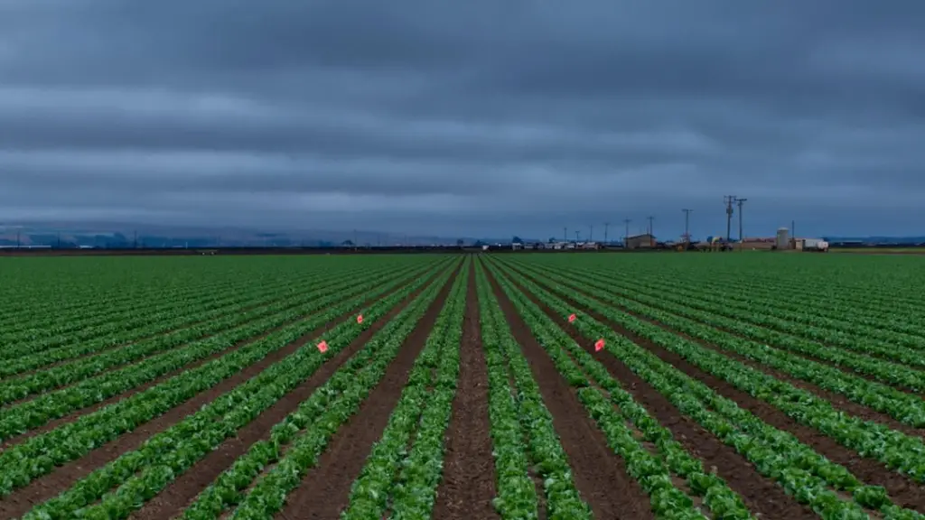 How Did Agriculture Change People’s Lives