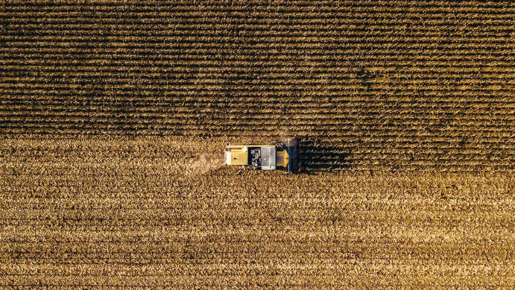 What is weeding in agriculture?