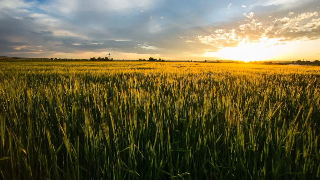 Who is the patron saint of agriculture?