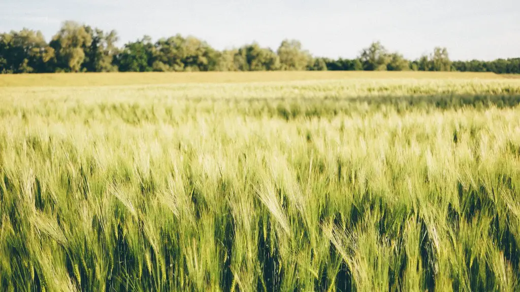 What is intensive commercial agriculture?