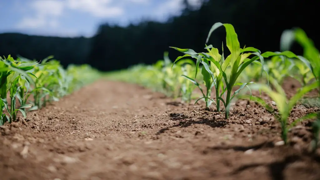 Is clay soil good for agriculture?