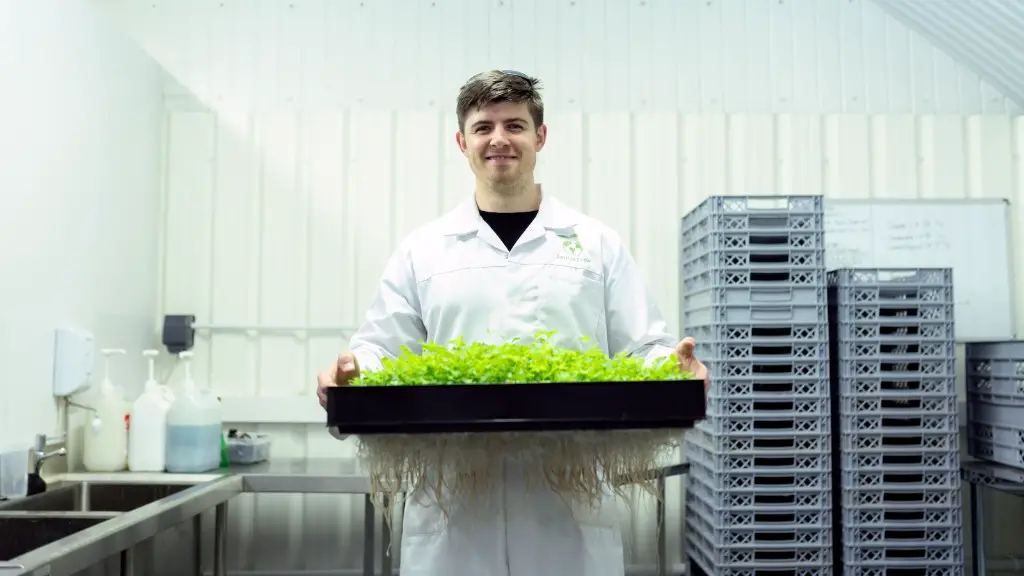 De Department Of Agriculture
