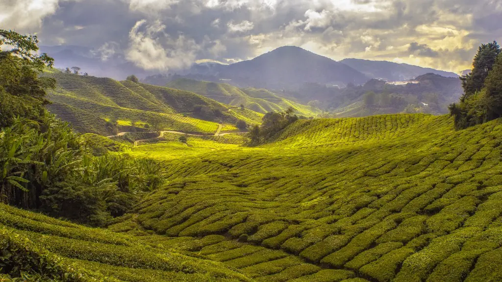 What is water management in agriculture?