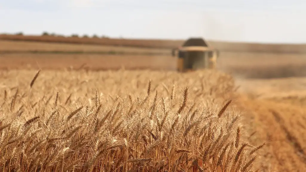 Is sandy clay loam good for agriculture?