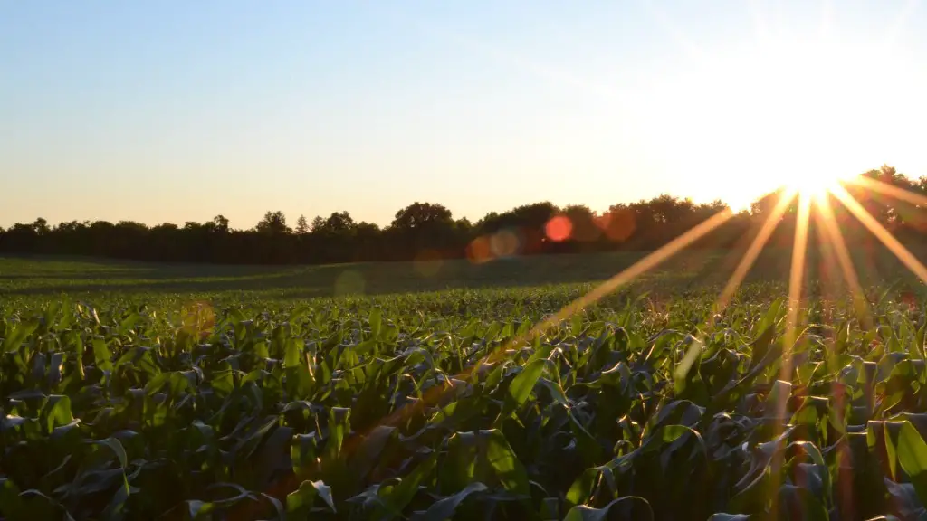 What Are Some Developments In Modern Agriculture