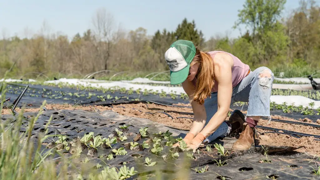 What is hardening in agriculture?