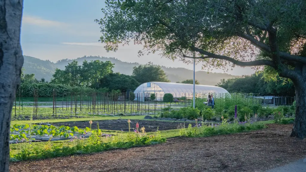 What is the role of women in agriculture?