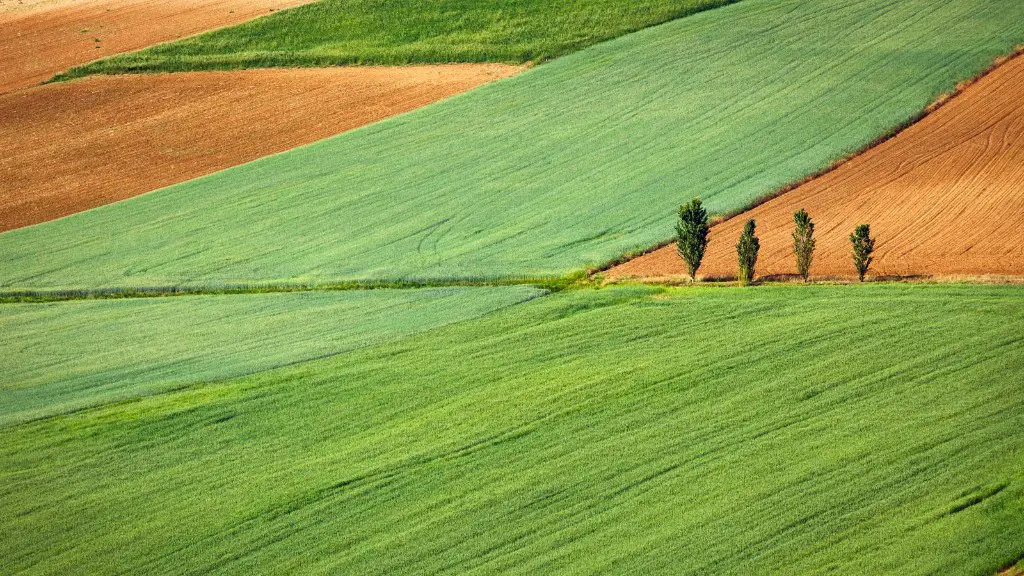 What agriculture is involved in halloween in italy?