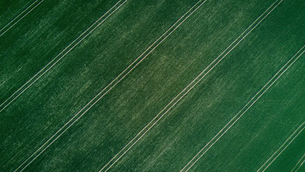 How Are Genetically Modified Organisms Used In Agriculture