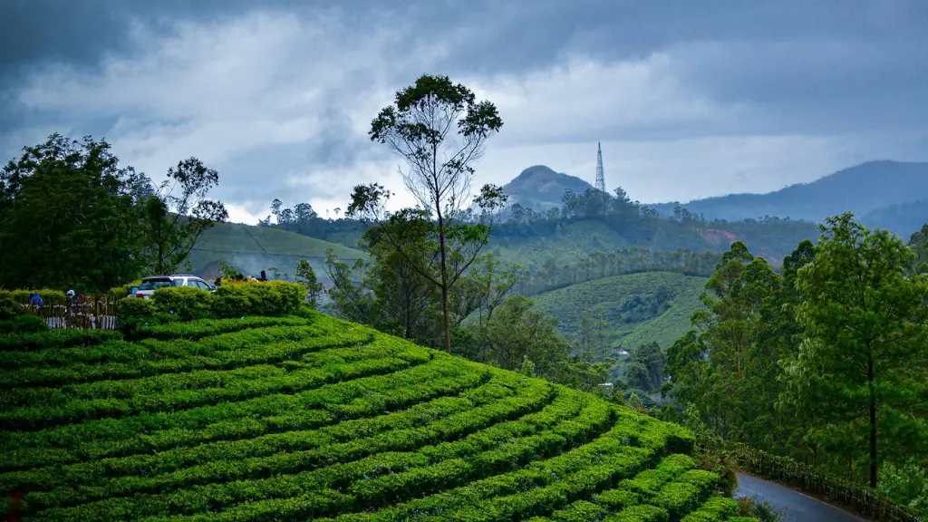 How much of earth’s land is used for agriculture?