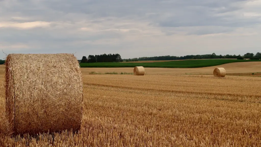 What is georgia agriculture?