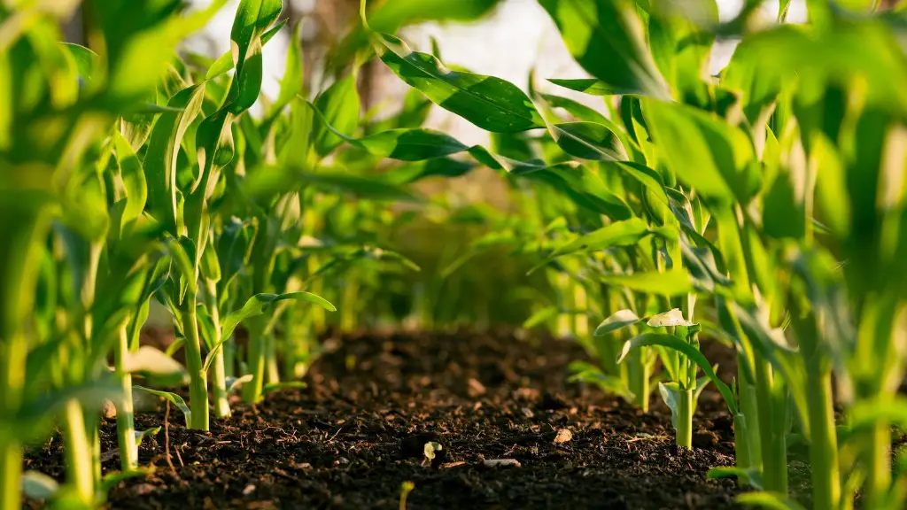 How do you define agriculture?