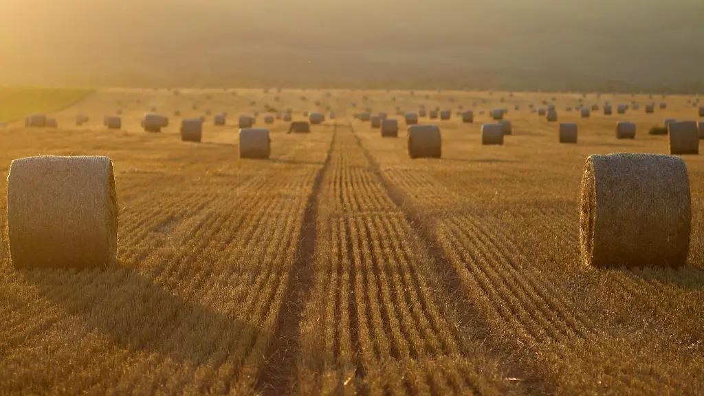 What metal revolutionized agriculture?