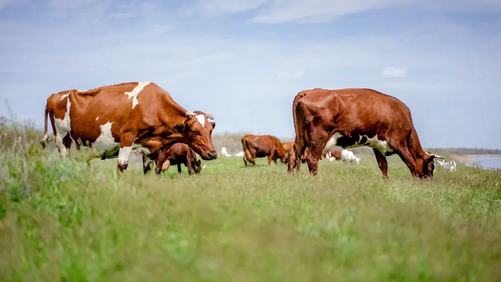 What percent of water goes to agriculture?