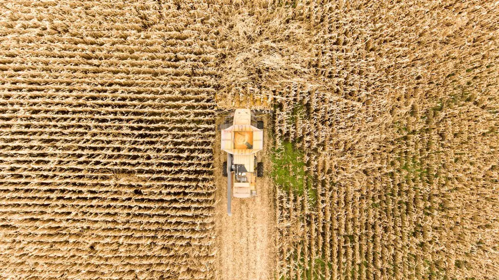 A&M Agriculture Extension