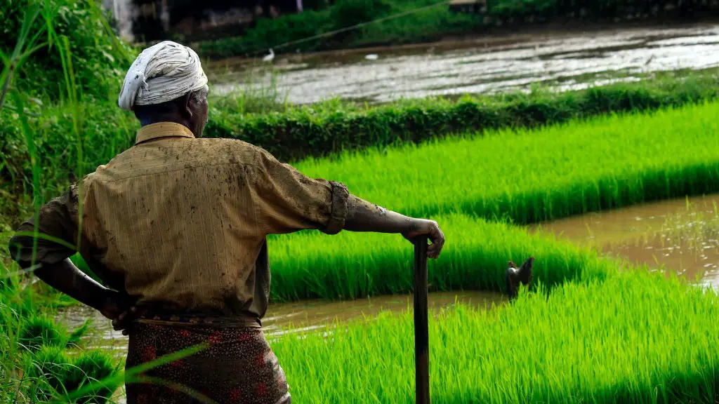 Why agriculture is bad?