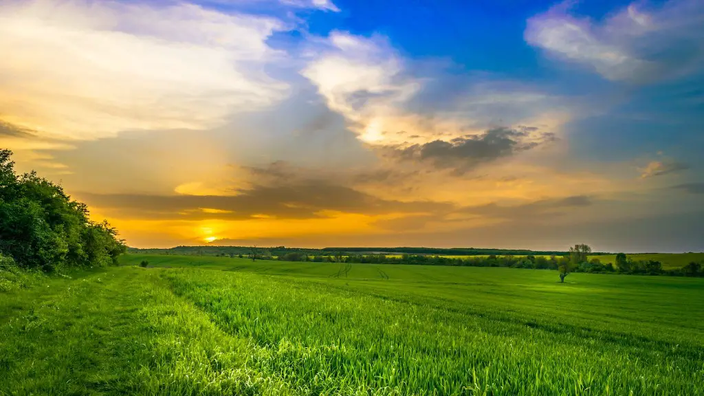 What is agriculture irrigation?