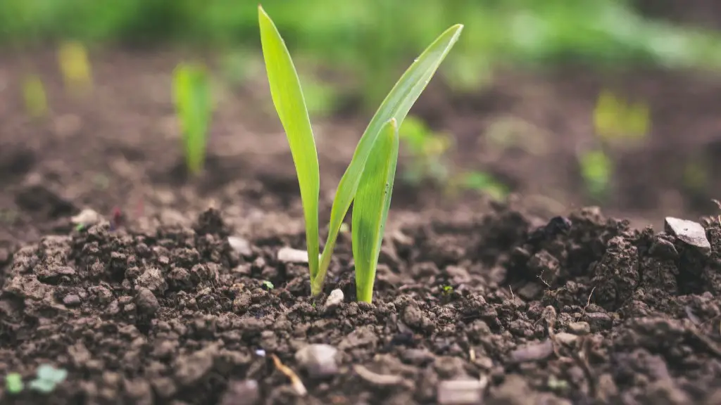 Is regenerative agriculture expensive?
