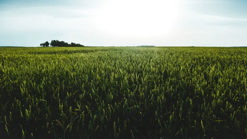 Is tree farming considered agriculture?