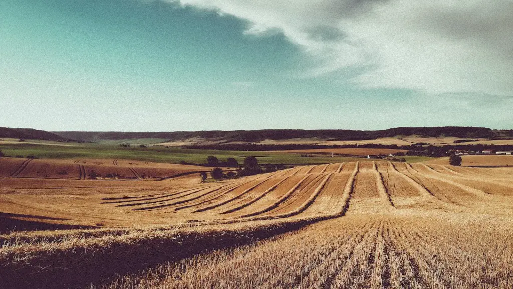 What is plant production in agriculture?