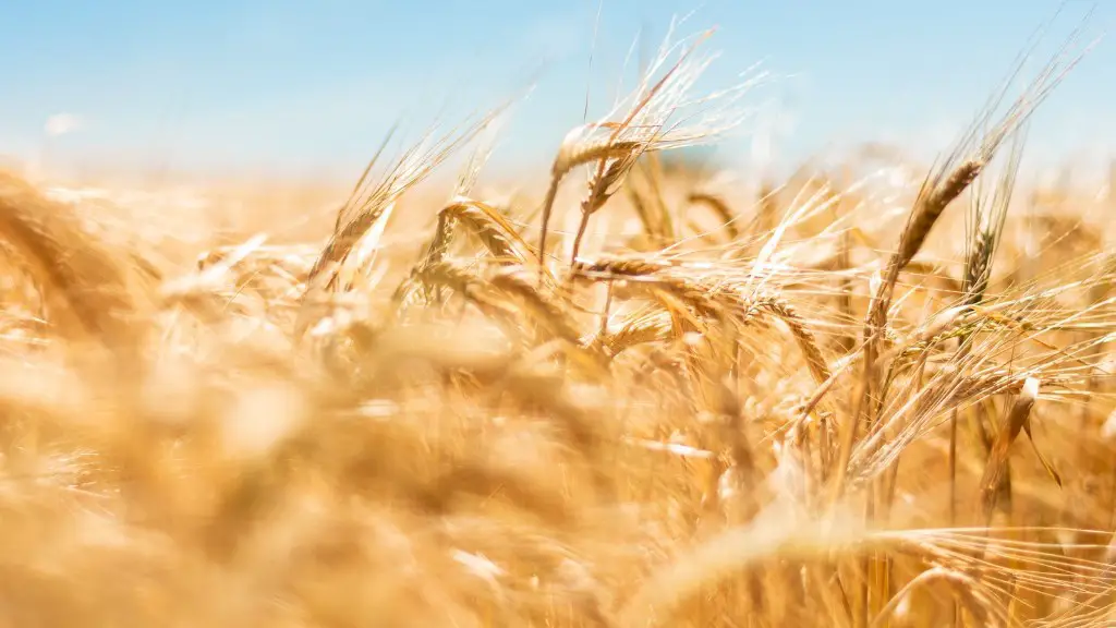 How has agriculture changed over time?