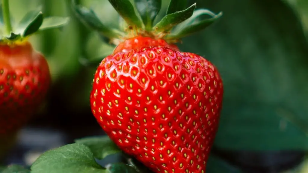 What is production in agriculture?