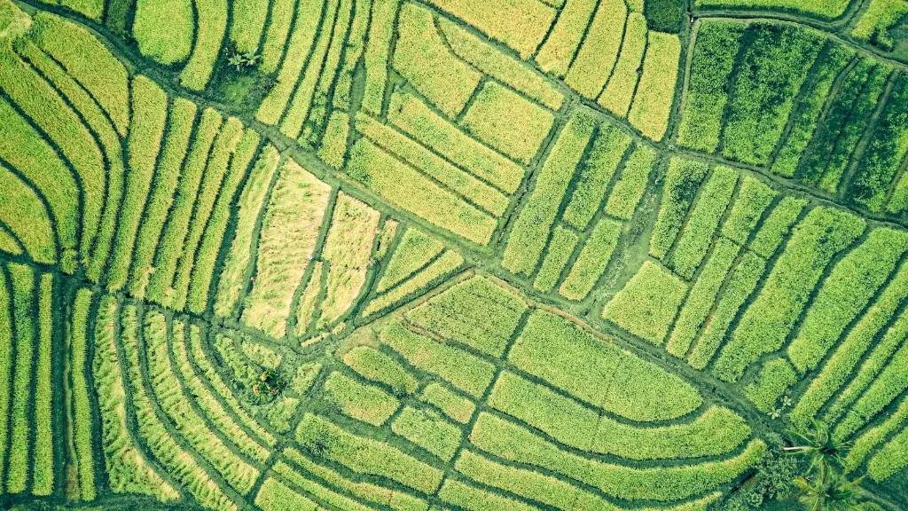 Why is alluvium important to agriculture?