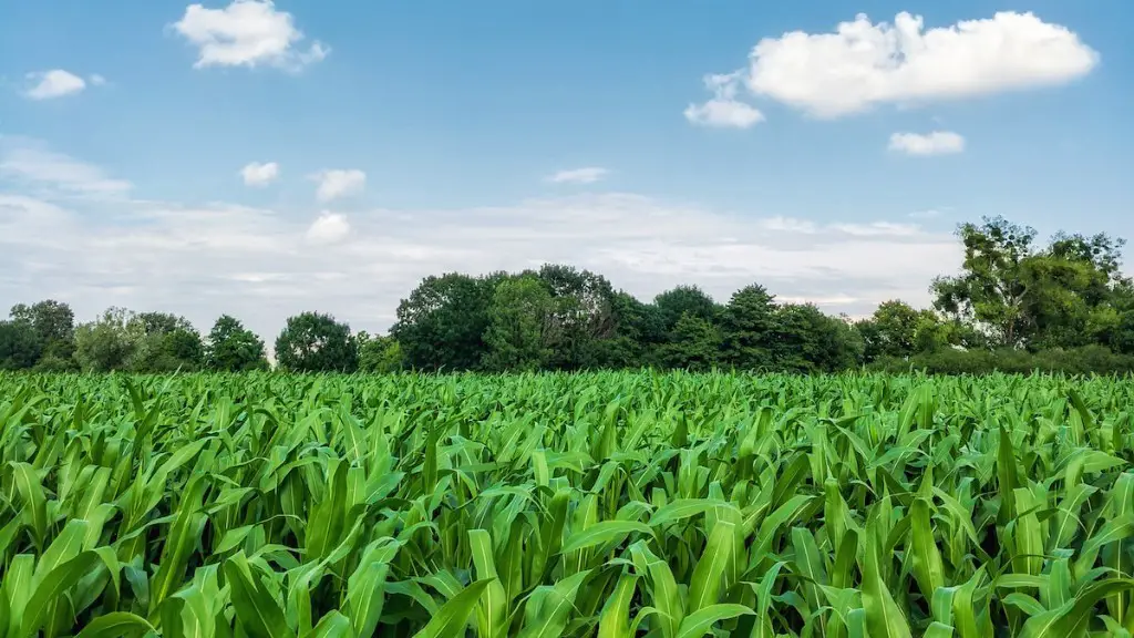 Why is industrial agriculture unsustainable?