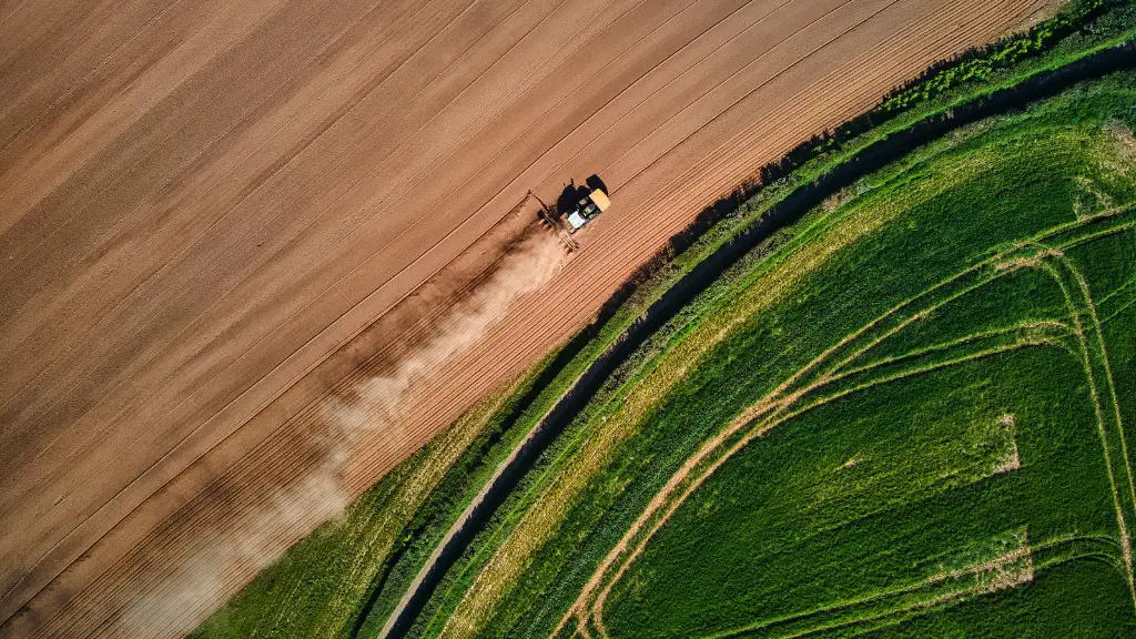 What does the future of agriculture look like?