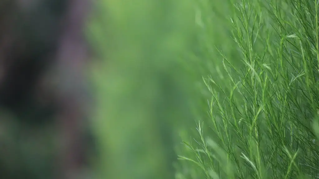 What is agriculture ecology?