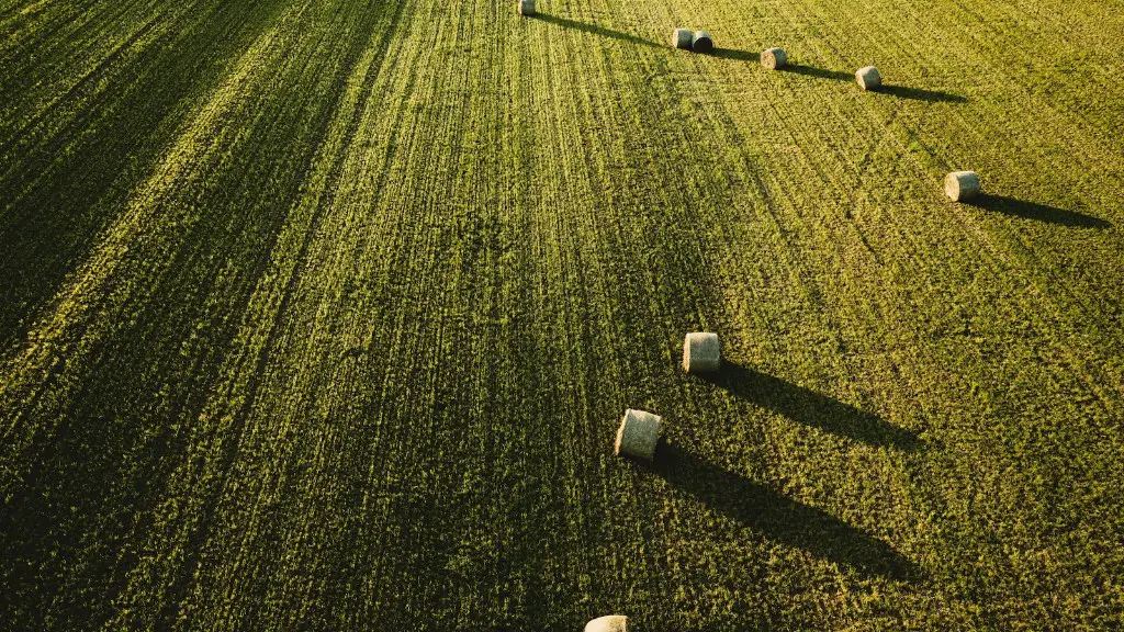 How biotechnology is used in agriculture?
